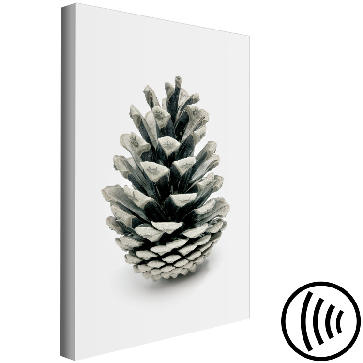 Cuadro Muérdago de invierno - foto botánica de invierno sobre fondo blanco 130729 additionalImage 6