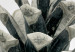 Cuadro Muérdago de invierno - foto botánica de invierno sobre fondo blanco 130729 additionalThumb 4