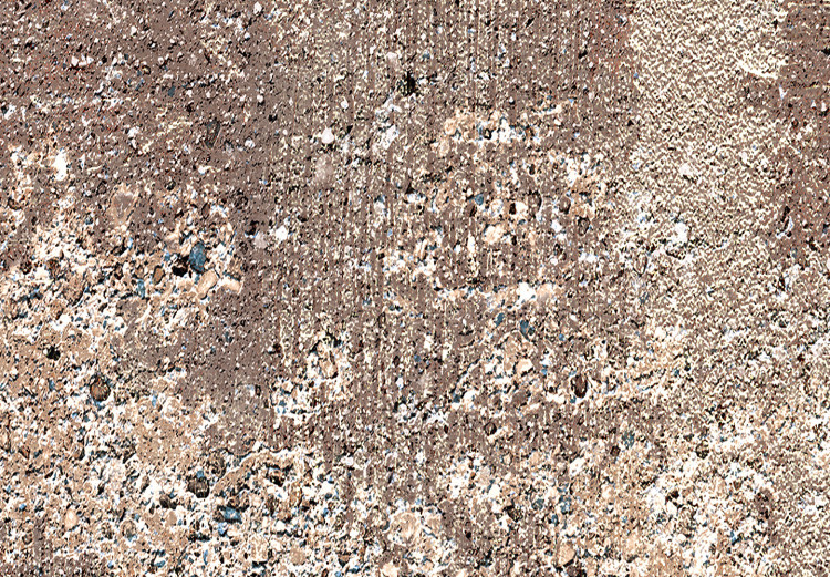 Carta da parati moderna Muro di cemento - un tema elegante in tonalità di bronzo e grigio 142329 additionalImage 4