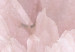 Vliestapete Peony Petals - Delicate Interior of a Pale Pink Flower 145329 additionalThumb 4
