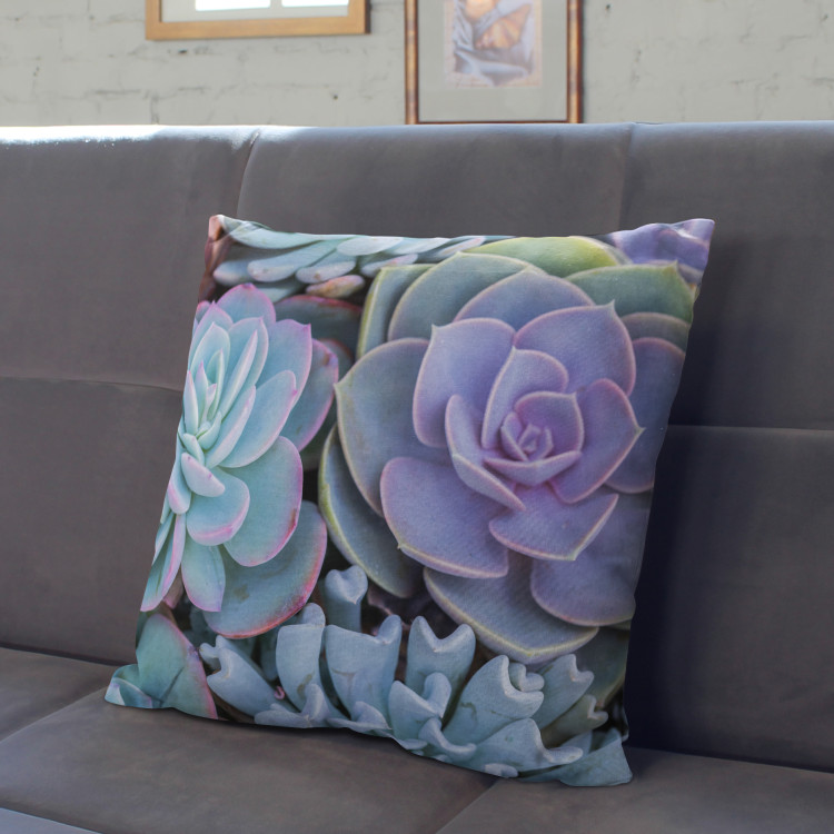 Mikrofiberkudda Blue succulents - a floral composition with rich detailing cushions 146829 additionalImage 3