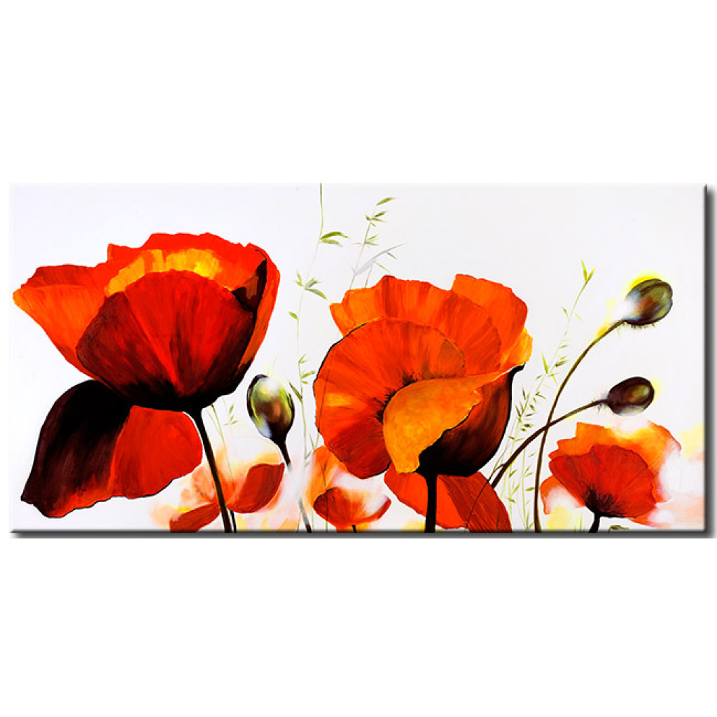 Quadro Pintado Natureza Em Florescimento (1 Peça) - Motivo Botânico Com Papoilas Vermelhas