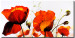Tableau décoratif Nature florissante (1 pièce) - composition avec coquelicots rouges 46629