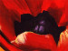Quadro Papoilas (1 parte) - Motivo floral com flores vermelhas em um fundo laranja 47229 additionalThumb 3