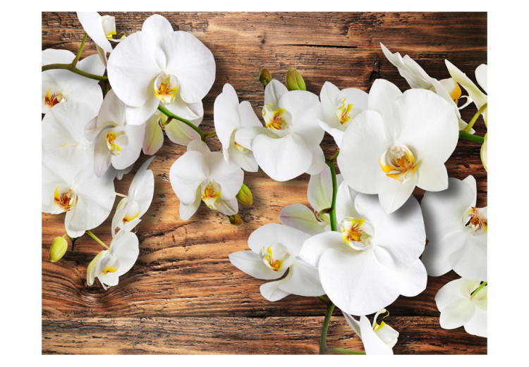 Wall Mural Snow White Orchids - White Floral Motif on a Raw Wood Background 60629 additionalImage 1