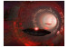 Wall Mural Galactic Conquest - Aliens in UFOs flying into space for a teenager 61129 additionalThumb 1