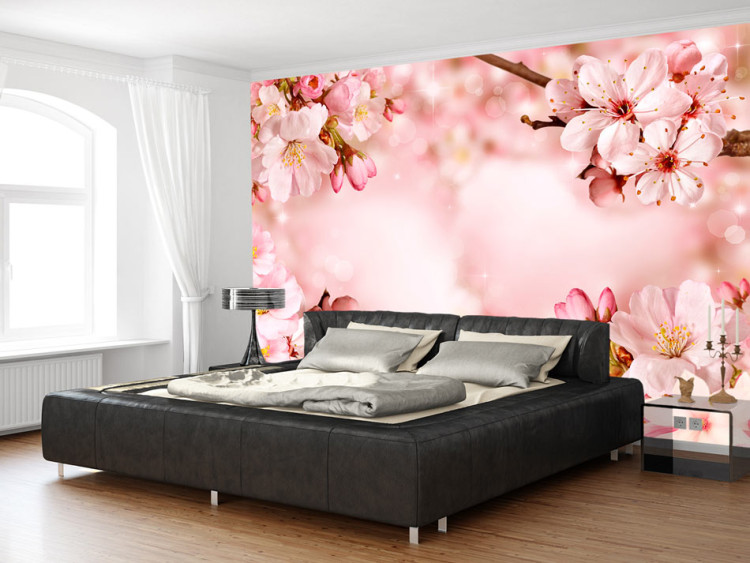 Wall Mural Spring - pink composition of cherry blossoms on a background with