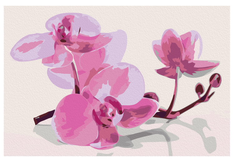 Obraz do malowania po numerach Kwiaty orchidei 107139 additionalImage 7