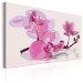 Obraz do malowania po numerach Kwiaty orchidei 107139 additionalThumb 4