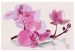 Obraz do malowania po numerach Kwiaty orchidei 107139 additionalThumb 7