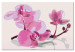 Obraz do malowania po numerach Kwiaty orchidei 107139 additionalThumb 6