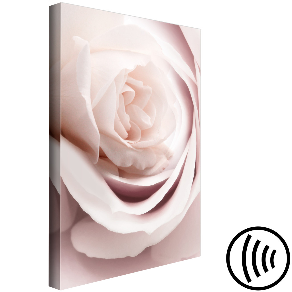 Obraz Pastelowy Urok (1-częściowy) - Rozkwitający Kwiat Róży W Naturze