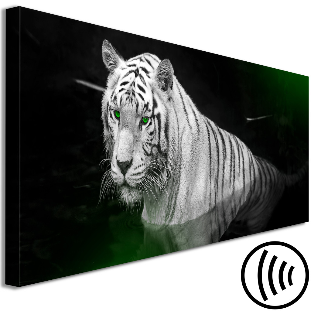 Quadro Pintado Tigre Branco Na água - Uma Imagem De Um Animal Com Olhos Verdes