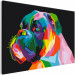 Paint by number Colourful Boxer 127439 additionalThumb 4