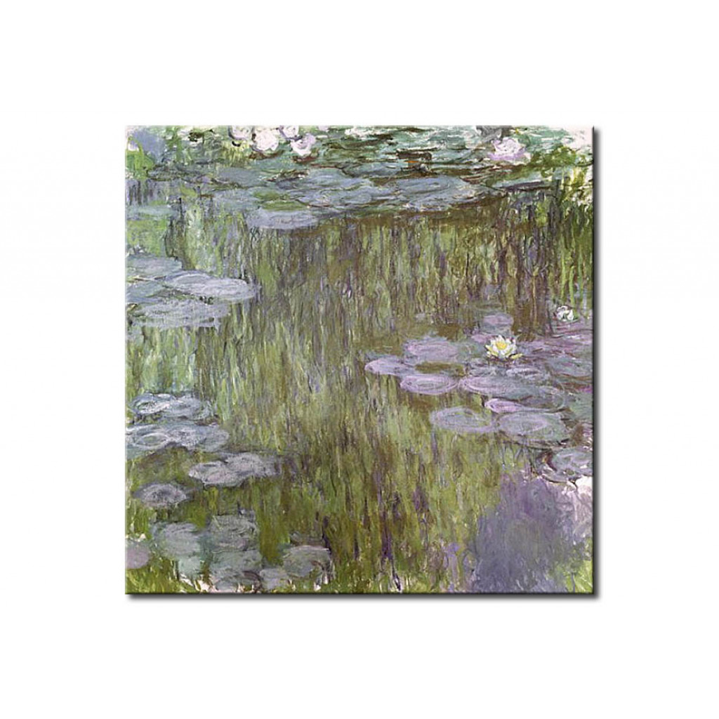 Reprodukcja Obrazu Nenufary (lilie Wodne) W Giverny