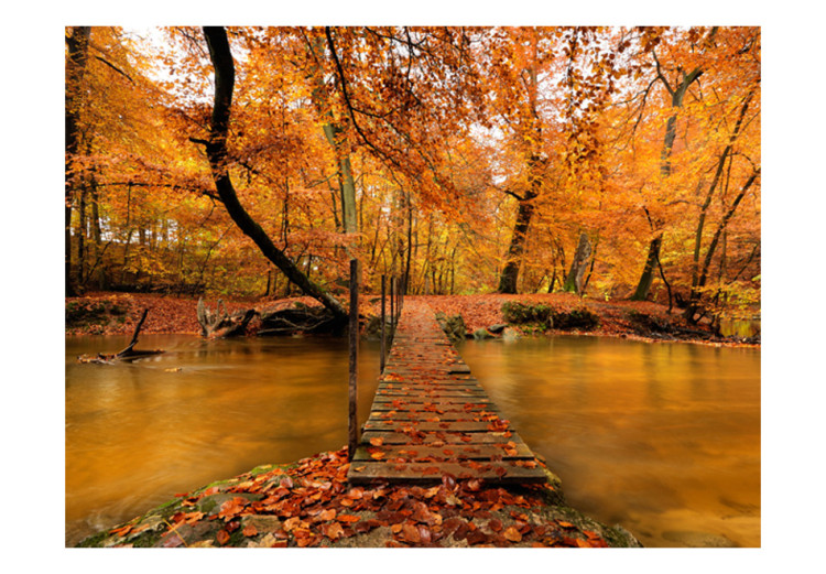 Photo Wallpaper Autumn bridge 59839 additionalImage 1