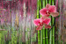 Wall Mural Centered Orchids - Floral Motif on a Wooden Background with Bamboo 60239