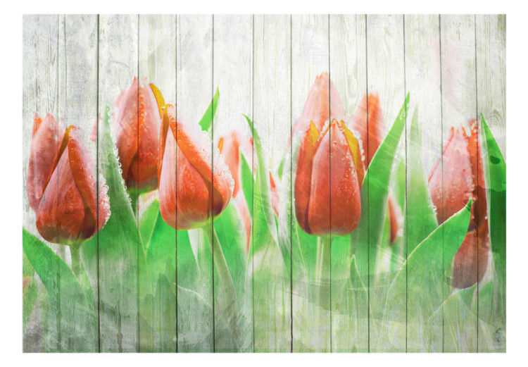 Wall Mural Red Tulips on Wood - Bright Floral Motif on White Wood 60339 additionalImage 1