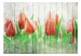 Wall Mural Red Tulips on Wood - Bright Floral Motif on White Wood 60339 additionalThumb 1