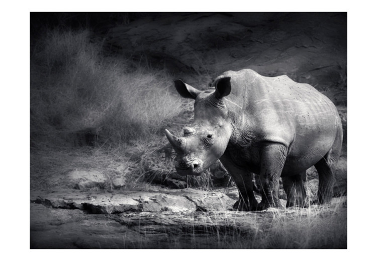 Mural de parede Paz dos Animais - Tema Preto e Branco de Um Rinoceronte Solitário na Savana 61339 additionalImage 1