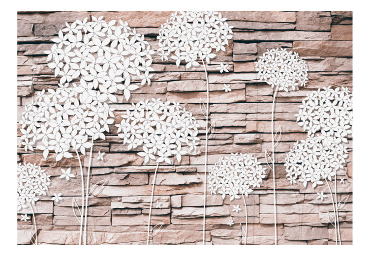 Carta da parati Fiori su una pietra - fiori bianchi su uno sfondo di pietra 64539 additionalImage 1