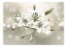 Fototapeta Lilia - Kwiat władców 64639 additionalThumb 1