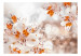 Carta da parati moderna Natura arancione - motivo di fiori di gigli con bagliore solare 88839 additionalThumb 1
