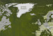 Decoración en corcho Malachite World [Cork Map] 93939 additionalThumb 5
