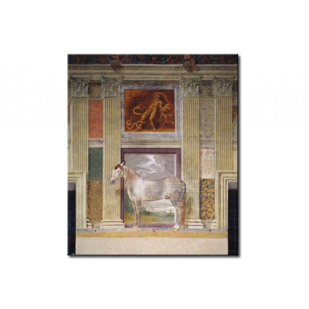 Schilderij  Giulio Romano: Giulio Romano, Pferd Der Gonzaga