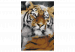 Obraz do malowania po numerach Przyjazny tygrys 132049 additionalThumb 7