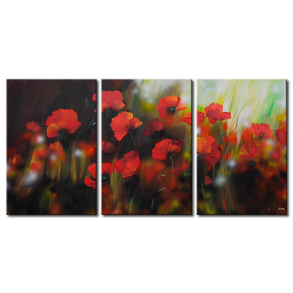 Schilderij  Klaprozen: Romantische Klaprozen - Een Weiland Vol Rode Bloemen