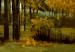 Riproduzione quadro Paesaggio d'autunno 52549 additionalThumb 3