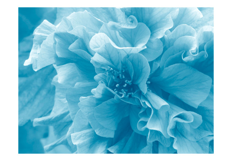 Wall Mural Blue Azaleas - Close-up of Flower Petals in Bright Colours 60449 additionalImage 1