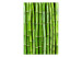 Fotomural Parede de bambu 61449 additionalThumb 1