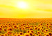 Cuadro decorativo Sunflowers at Sunset (3 Parts) 124359 additionalThumb 4