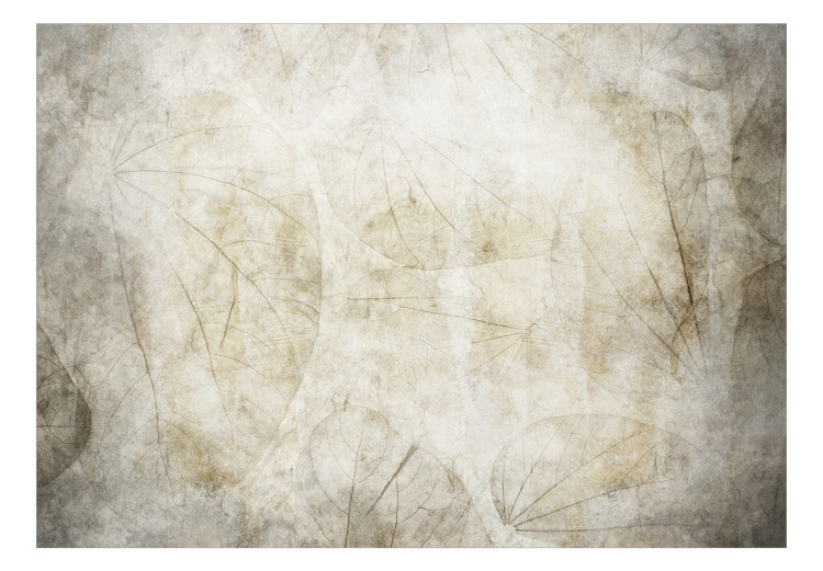 Carta da parati moderna Foglia sottile - tema astratto mantenuto in tonalità beige 138459 additionalImage 1