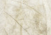 Carta da parati moderna Foglia sottile - tema astratto mantenuto in tonalità beige 138459 additionalThumb 4