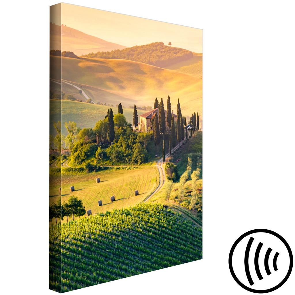 Schilderij  Toscane: Sunny Fields Of Tuscany - Landscape Photography At Sunset