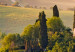 Obraz Słoneczne pola Toskanii - fotografia pejzażu o zachodzie słońca 149859 additionalThumb 4