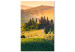 Obraz Słoneczne pola Toskanii - fotografia pejzażu o zachodzie słońca 149859