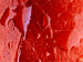 Leinwandbild Blätter im Herbstregen  58559 additionalThumb 3