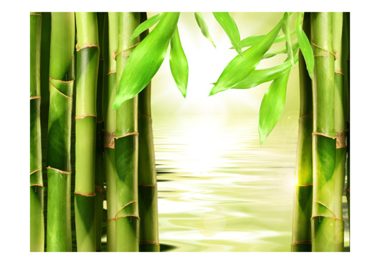 Fototapete Orient - Asiatisches Pflanzenmotiv mit Aufnahme von Bambus auf Wasser 61459 additionalImage 1
