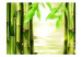 Fototapete Orient - Asiatisches Pflanzenmotiv mit Aufnahme von Bambus auf Wasser 61459 additionalThumb 1