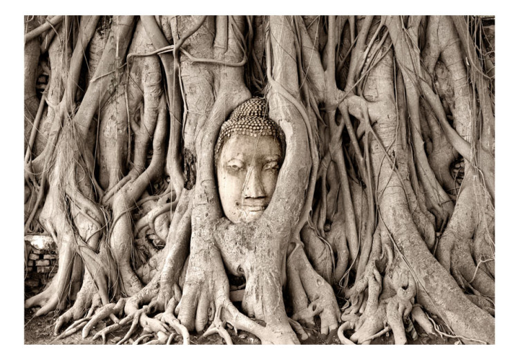 Carta da parati Buddha's Tree 90159 additionalImage 1