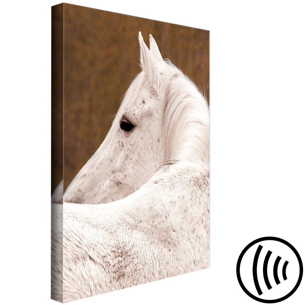Schilderij  Paarden: Wit Paard Zijwaarts - Een Fragment Van Een Foto Met Een Dier
