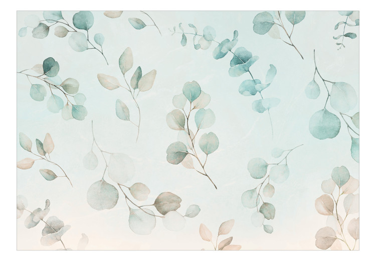 Fototapeta Beżowo-błękitne liście eukaliptusa – kompozycja z motywem roślinnym 138569 additionalImage 1