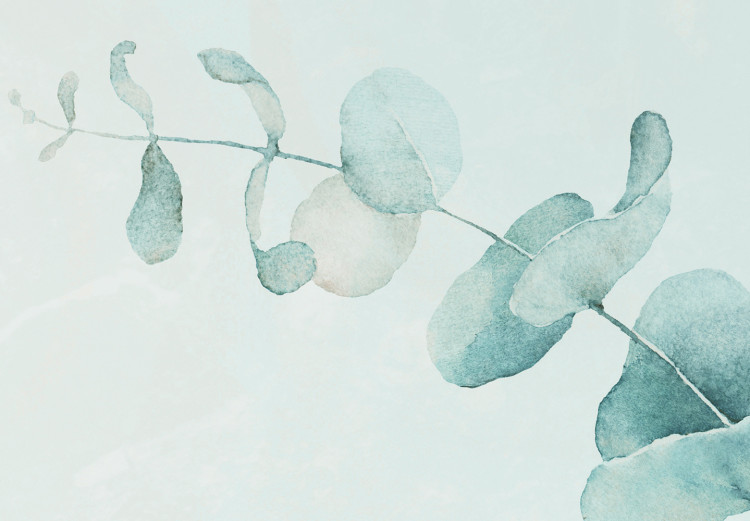 Fototapeta Beżowo-błękitne liście eukaliptusa – kompozycja z motywem roślinnym 138569 additionalImage 4