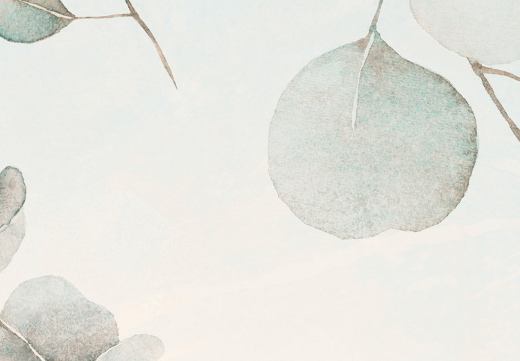 Fototapeta Beżowo-błękitne liście eukaliptusa – kompozycja z motywem roślinnym 138569 additionalImage 3