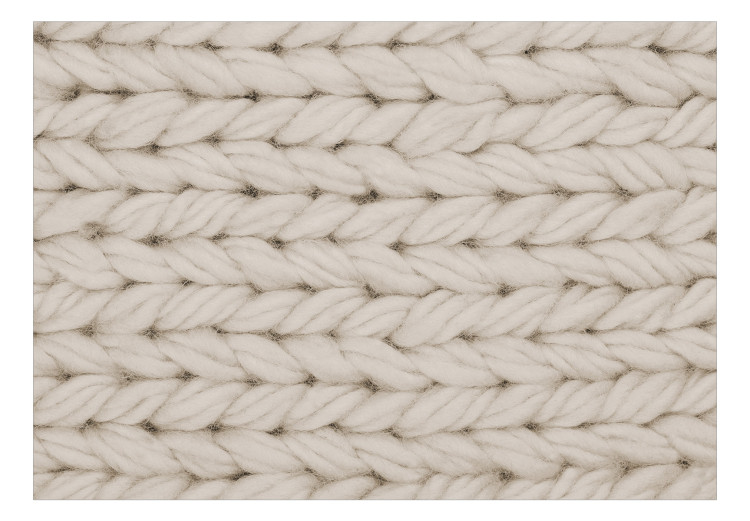 Carta da parati moderna Morbidezza di lana - una composizione minimalista con un filo 142269 additionalImage 1