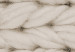 Carta da parati moderna Morbidezza di lana - una composizione minimalista con un filo 142269 additionalThumb 3